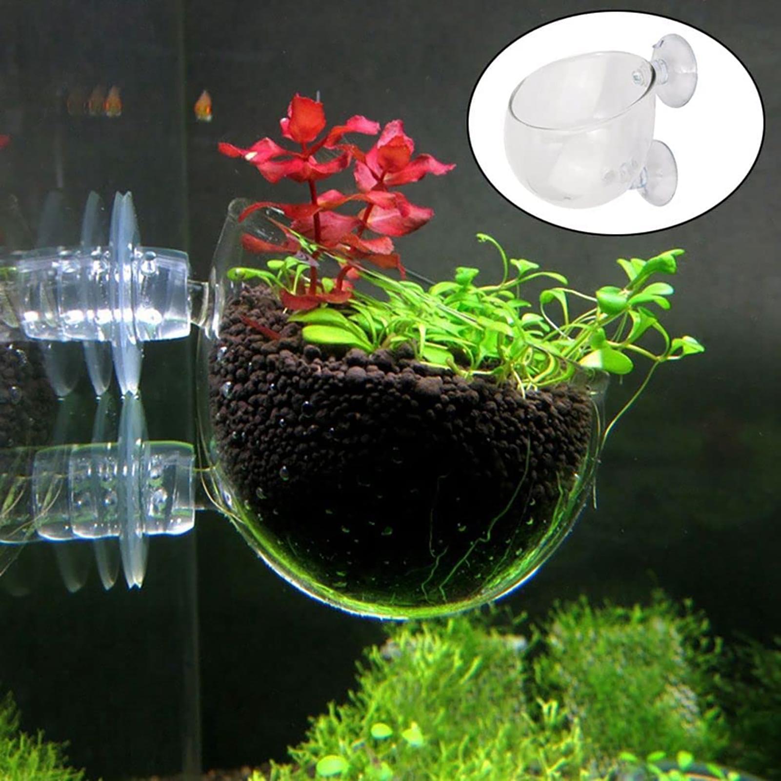 Plant Growth Regulator - 水生植物ポット クリアアクリル水族館プランター 吸盤付き 魚タンクの装飾品 水耕栽培の繁殖用