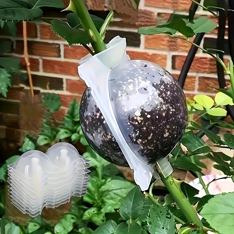 Plant Growth Regulator - 10個入り植物繁殖ボックスセット、高圧接木・挿し木・発根キット（樹木の枝用、圧力ボール付き）