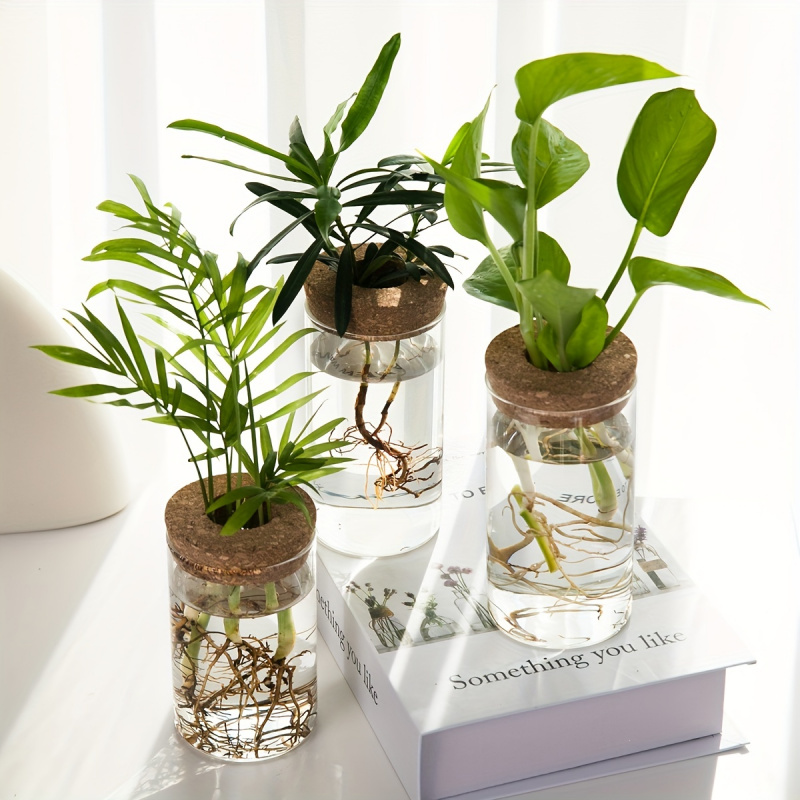 家の装飾のための水耕植物の花瓶、デスクトップガラスプランター - Plant Growth Regulator のレビューと価格