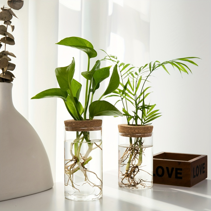家の装飾のための水耕植物の花瓶、デスクトップガラスプランター - Plant Growth Regulator のレビューと価格