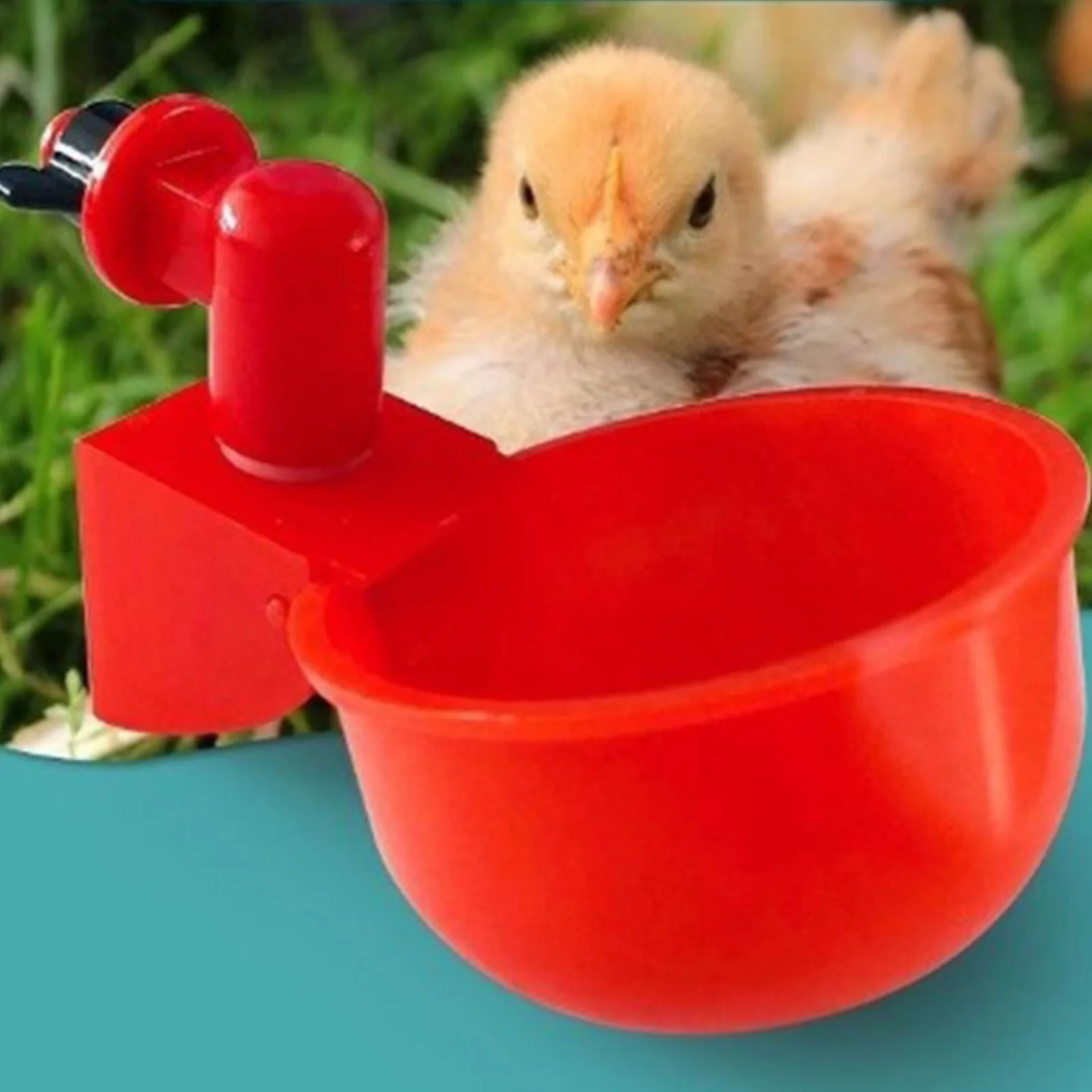 6-36 個鶏アヒル飲料カップ自動酒飲み鶏フィーダープラスチ - Chicken Nipple Drinker のレビューと価格