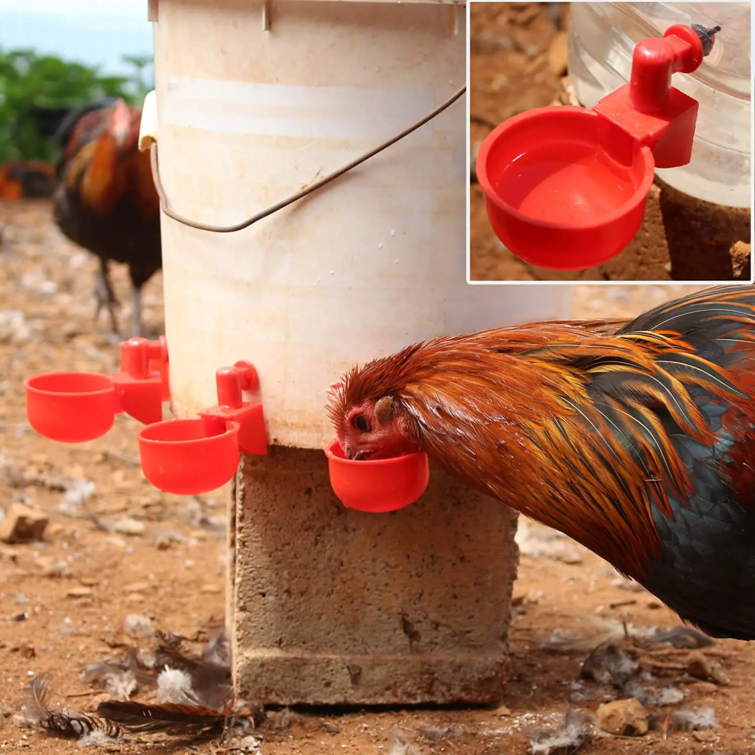 6-36 個鶏アヒル飲料カップ自動酒飲み鶏フィーダープラスチ - Chicken Nipple Drinker のレビューと価格