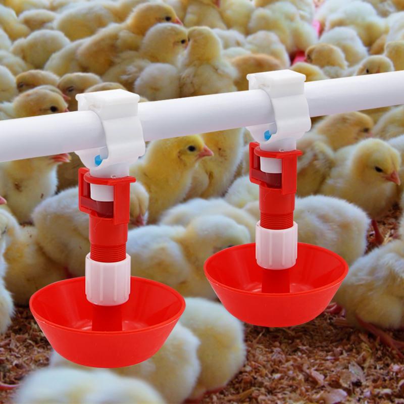 5/10/20 個自動鶏水乳首酒飲みボウル鳥家禽飲料水吊りカ - Chicken Nipple Drinker のレビューと価格