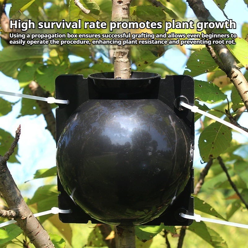10個入り植物繁殖キット：高速発根用高圧接木ボール。 耐久性 - Plant Growth Regulator のレビューと価格