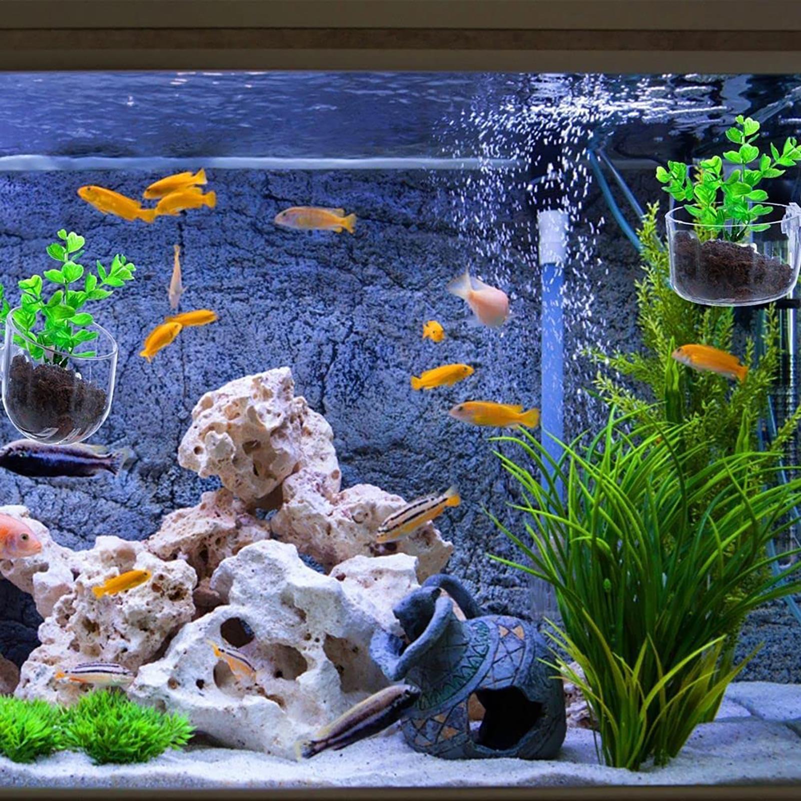 水生植物ポット クリアアクリル水族館プランター 吸盤付き 魚 - Plant Growth Regulator のレビューと価格