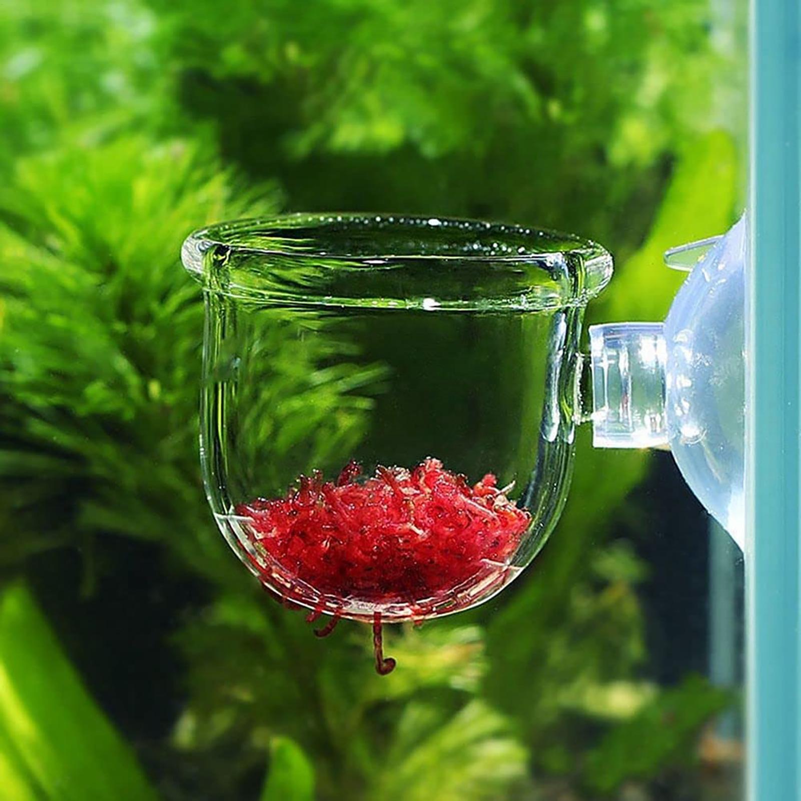 水生植物ポット クリアアクリル水族館プランター 吸盤付き 魚 - Plant Growth Regulator のレビューと価格