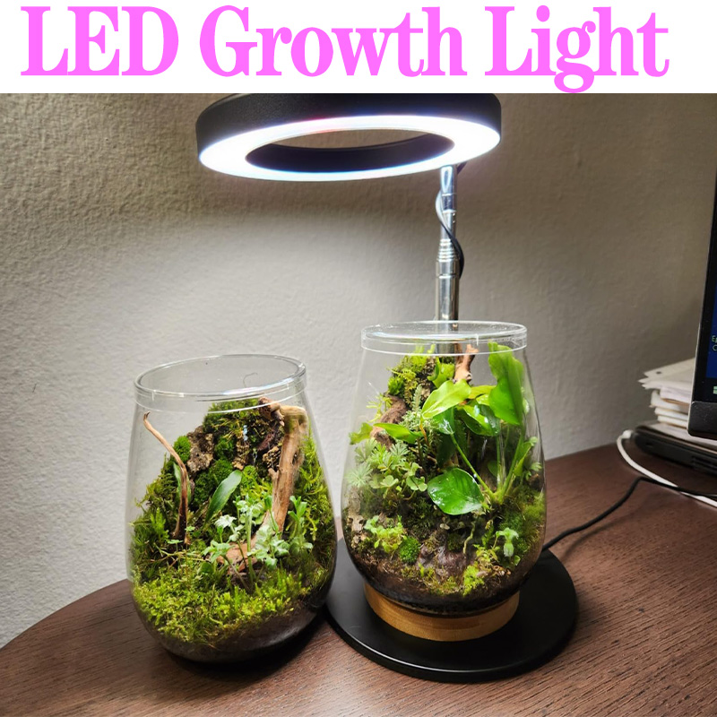 フルスペクトルUSB植物ランプ,LED成長ライト,植物ランプ - Plant Growth Regulator のレビューと価格