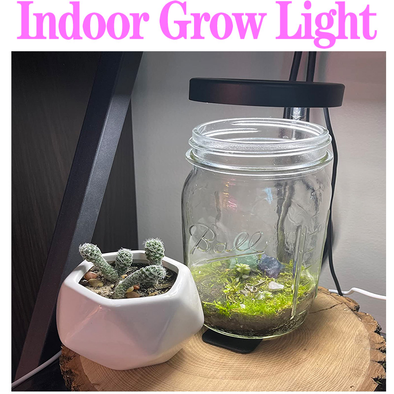 フルスペクトルUSB植物ランプ,LED成長ライト,植物ランプ - Plant Growth Regulator のレビューと価格