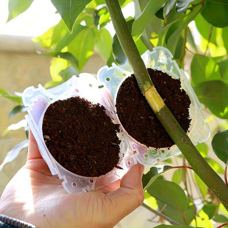 10個入り植物繁殖ボックスセット、高圧接木・挿し木・発根キッ - Plant Growth Regulator のレビューと価格