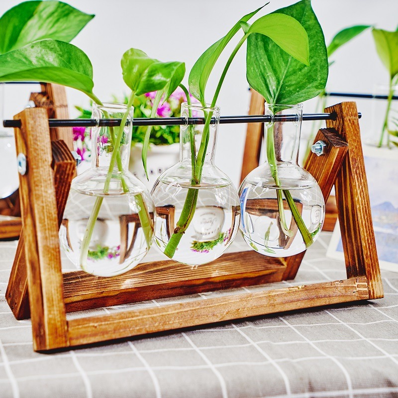 卓上ガラスプランター繁殖ステーション、植物用木製ラックテラリ - Plant Growth Regulator のレビューと価格