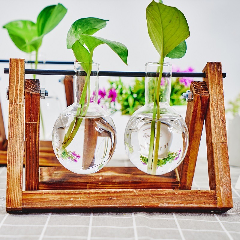 卓上ガラスプランター繁殖ステーション、植物用木製ラックテラリ - Plant Growth Regulator のレビューと価格